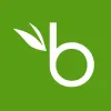 BambooHR