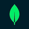 MongoDB